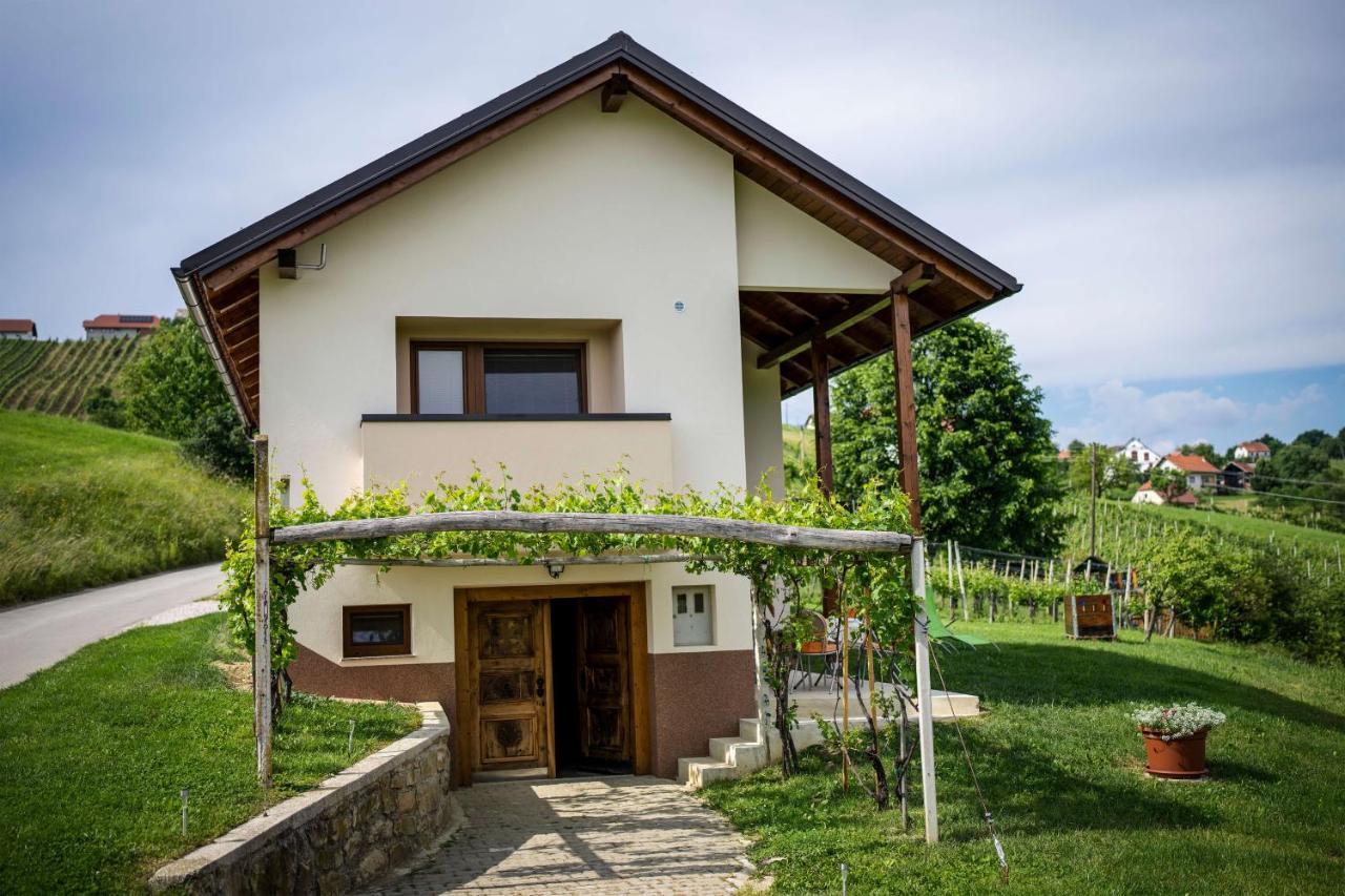 Holiday House Zlacka Gorca Pristava pri Mestinju Luaran gambar