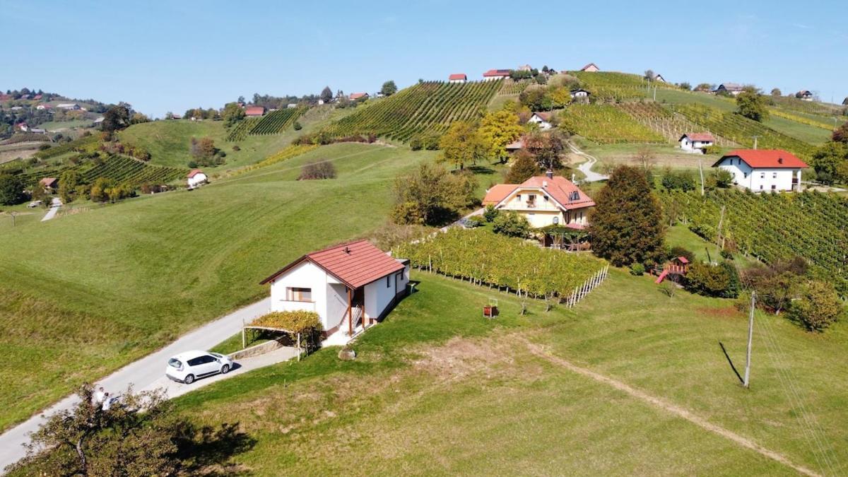 Holiday House Zlacka Gorca Pristava pri Mestinju Luaran gambar
