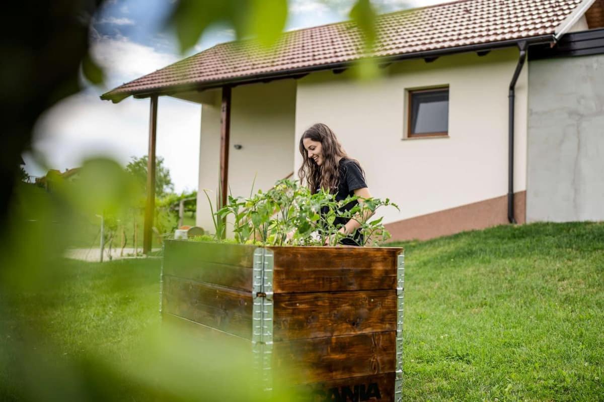 Holiday House Zlacka Gorca Pristava pri Mestinju Luaran gambar